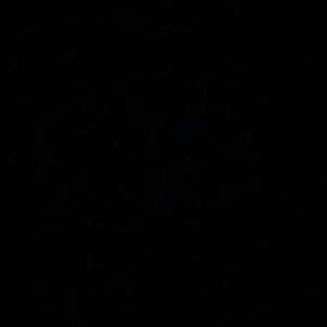 Meet your Posher, Levi